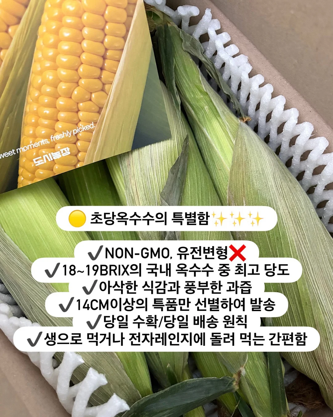 아역배우반 2