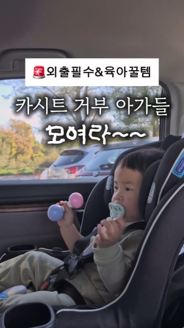 블러셔