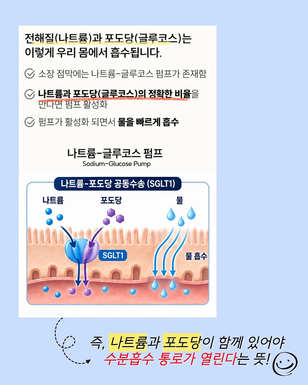 곶감샌드 4