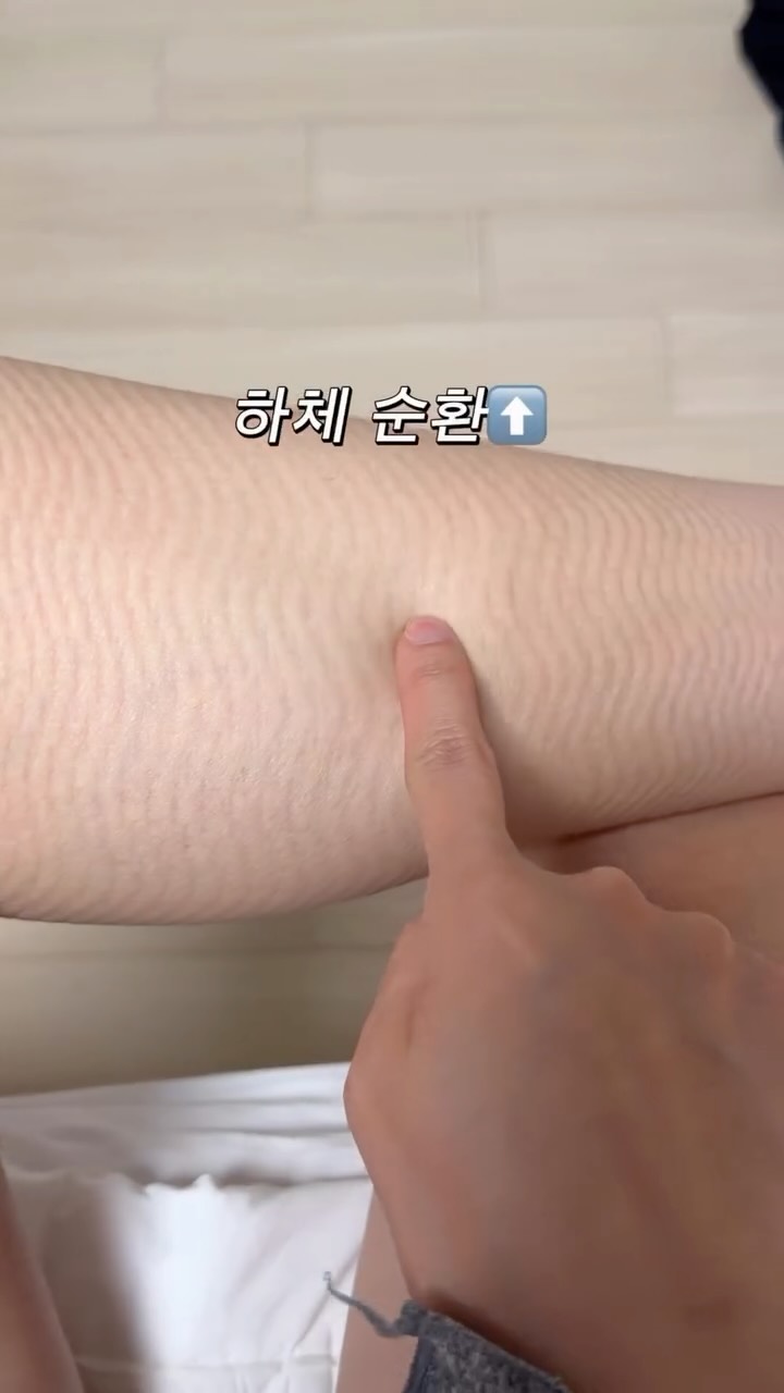 셀티아라 아르간오일 퍼퓸 헤어에센스