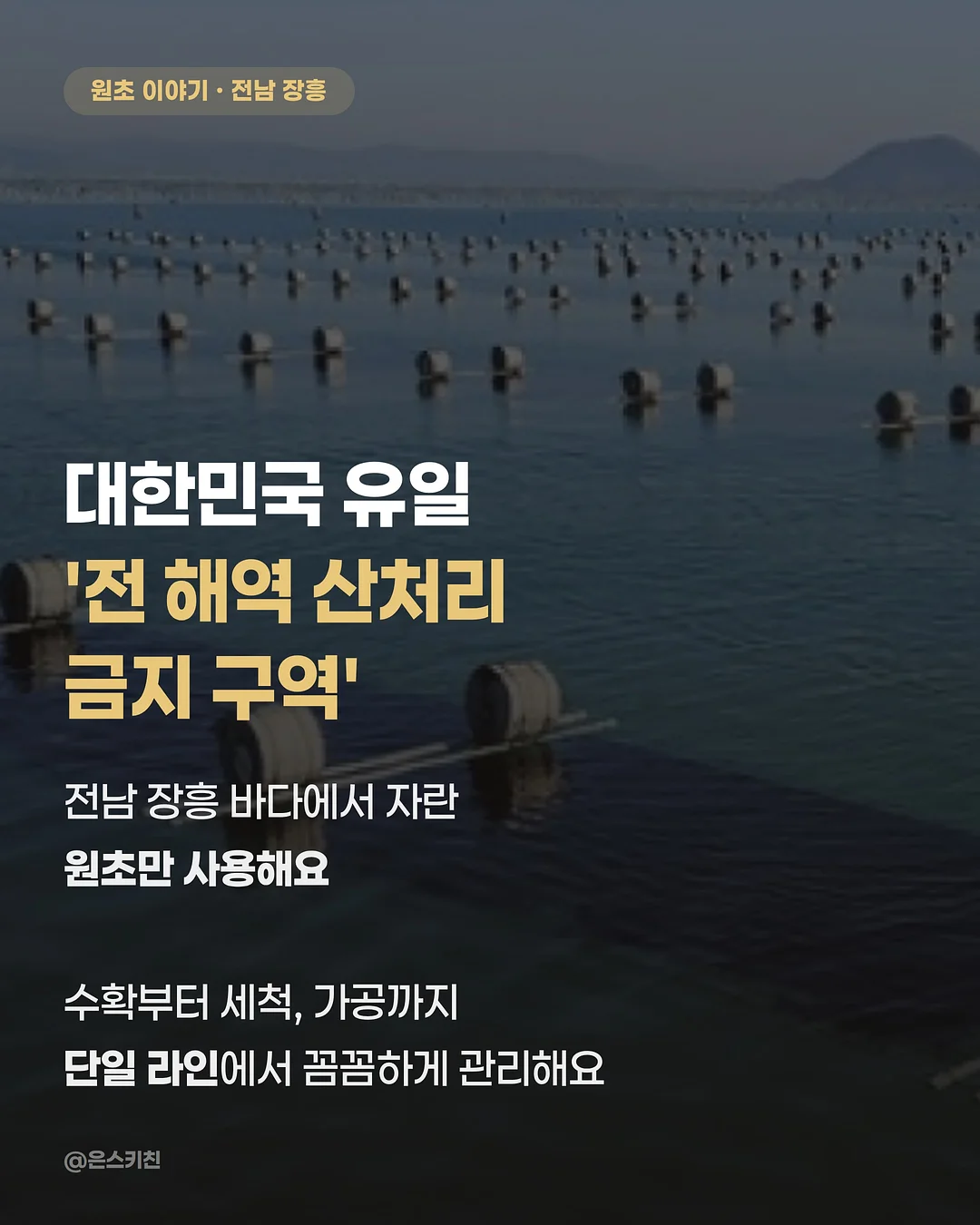 별, 똥별, 계은별 8