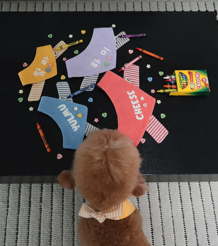 페이퍼 아노락 세트 2