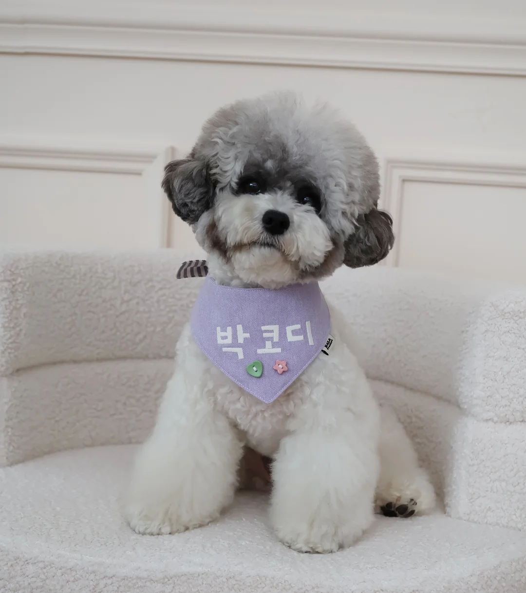 페이퍼 아노락 세트 6