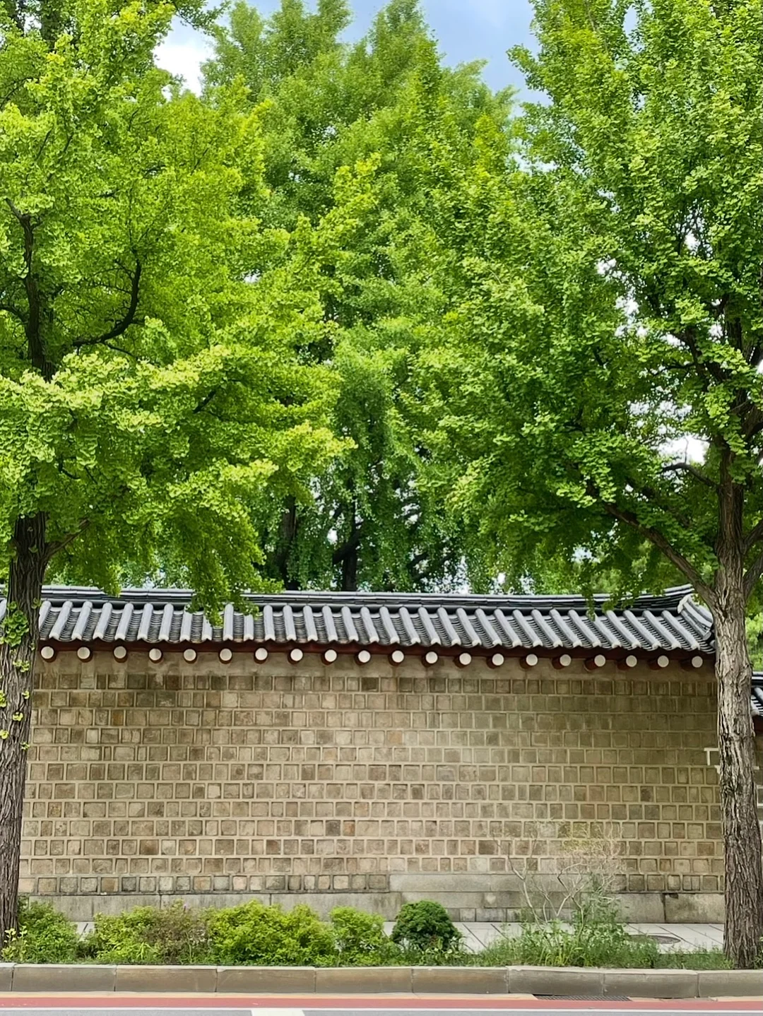 팽이버섯 요리 비법 가루 9