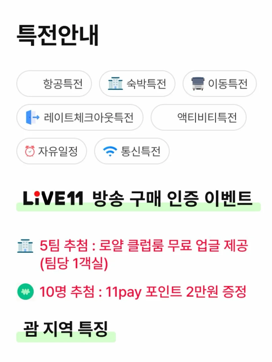 샌디 블라우스와 헤일리 치랭스 4