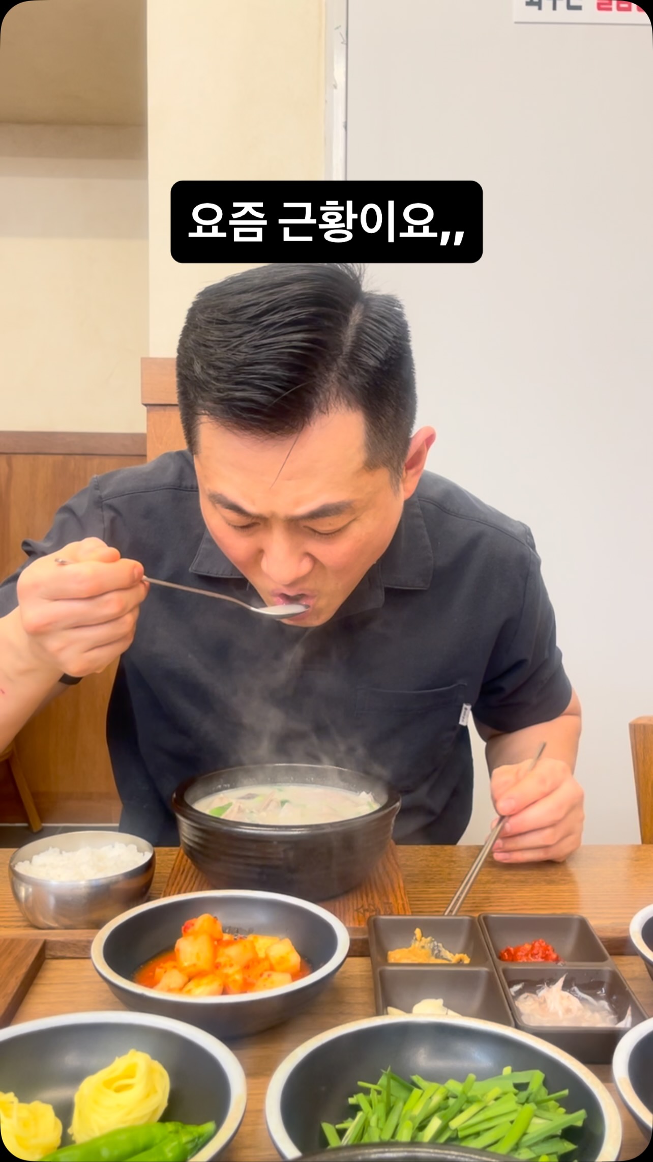 타미힐피거 월계수로고 코튼 니트