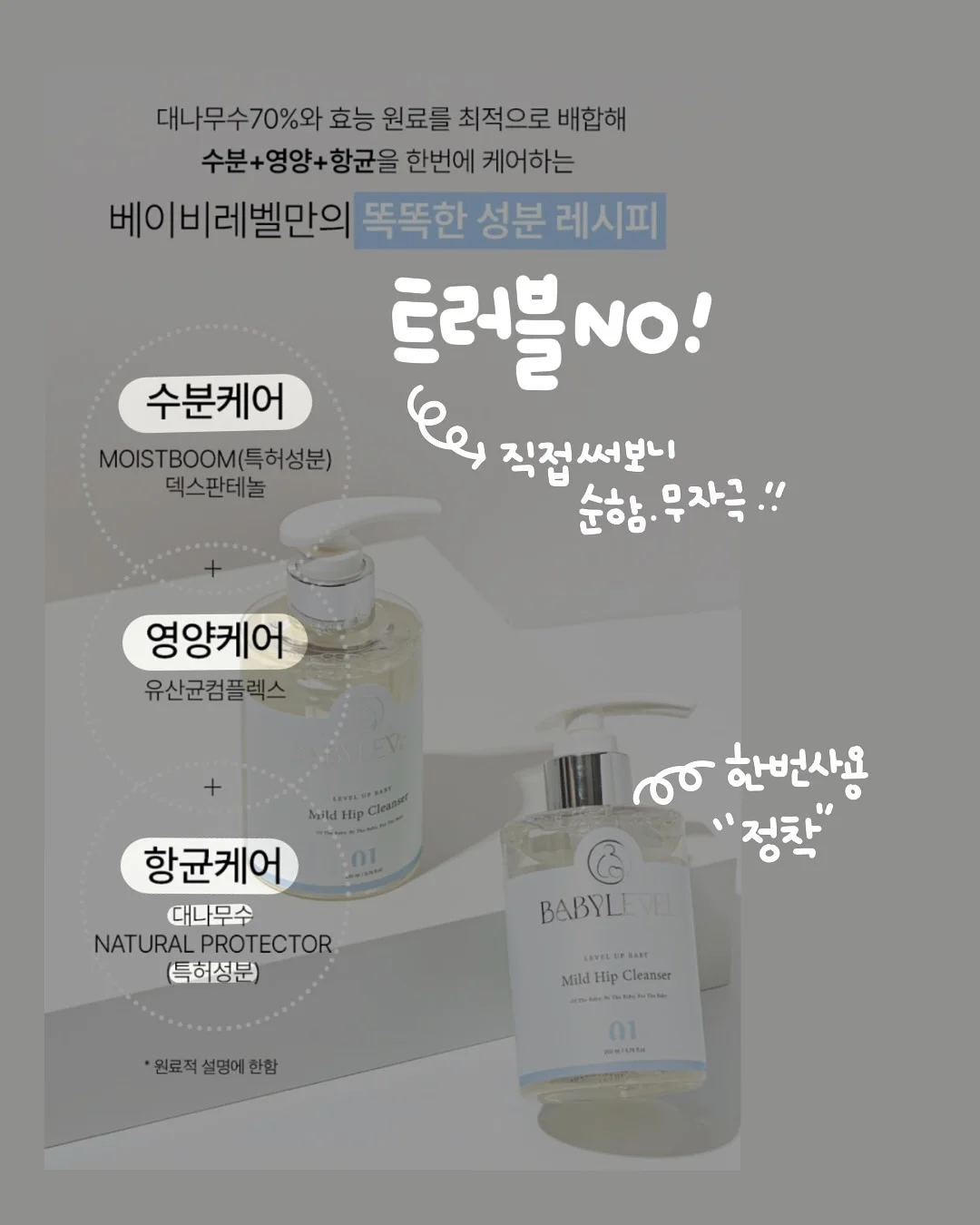 코스트코 후라이드 치킨 5