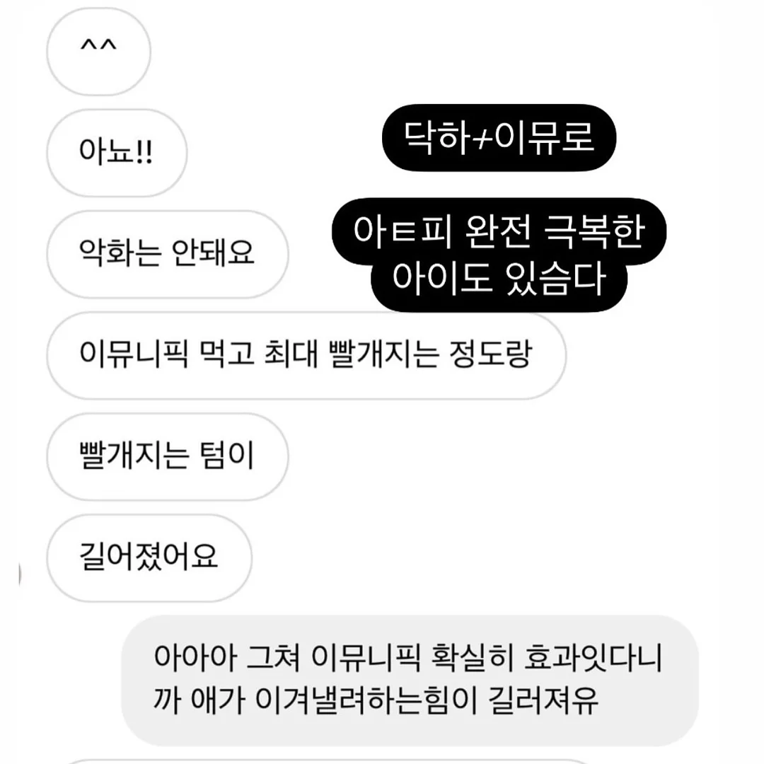 초코브라우니생크림케이크 12