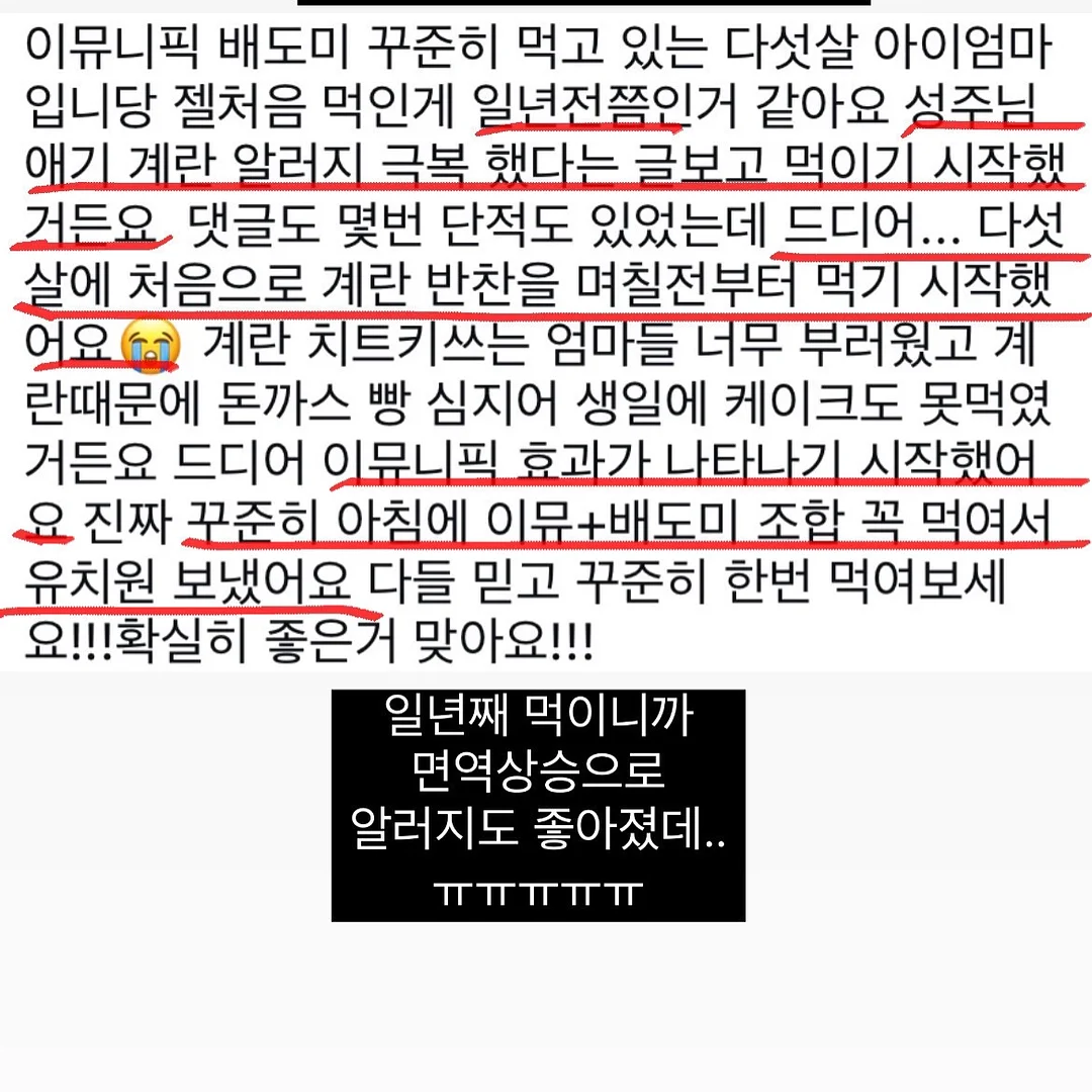 초코브라우니생크림케이크 13