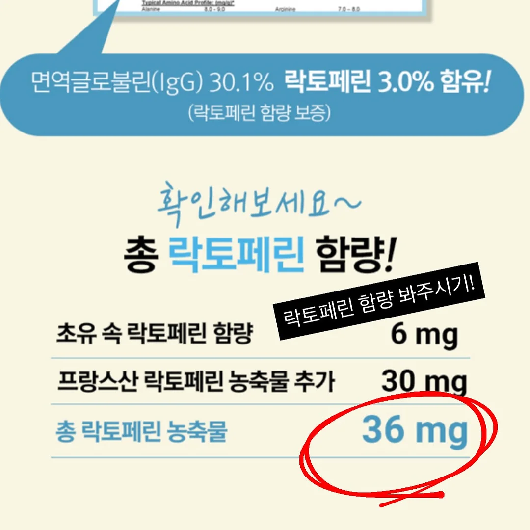 초코브라우니생크림케이크 3