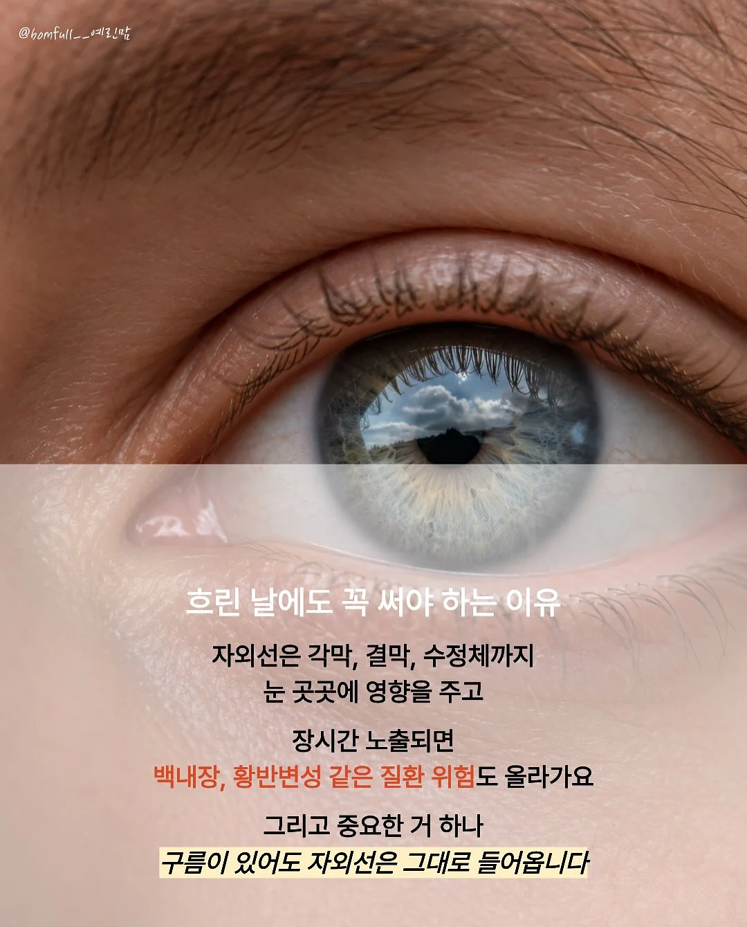 카프리 팬츠 8부 2