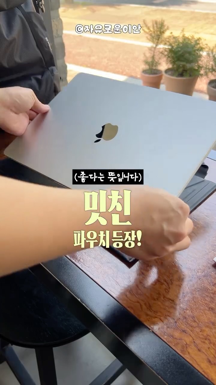 위너핏 다이어트 프로그램