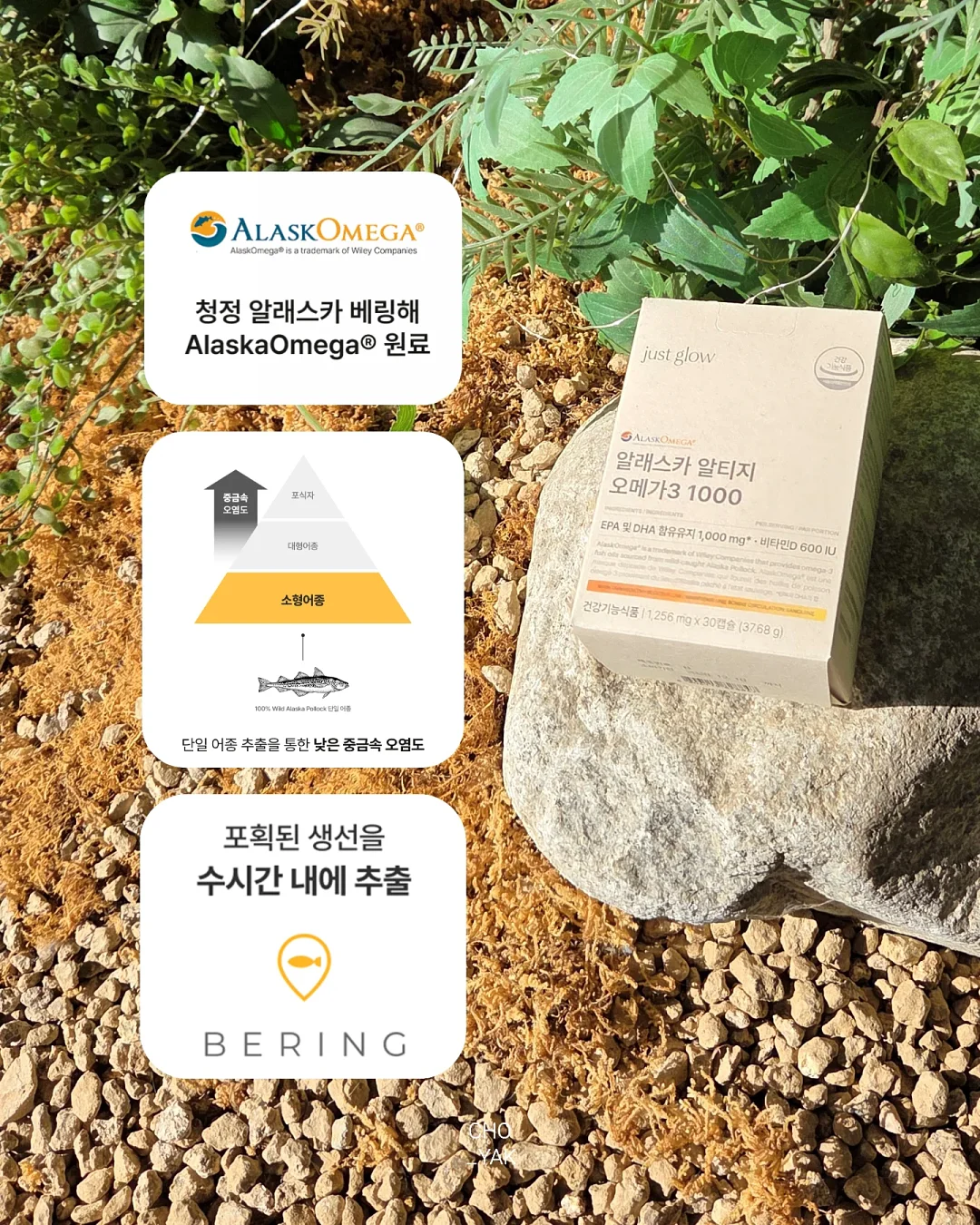 레터링 케이크 창업반 클래스 9