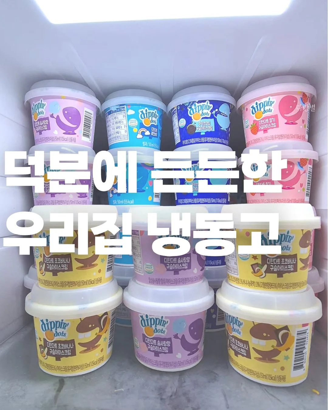 말랑이장족 11