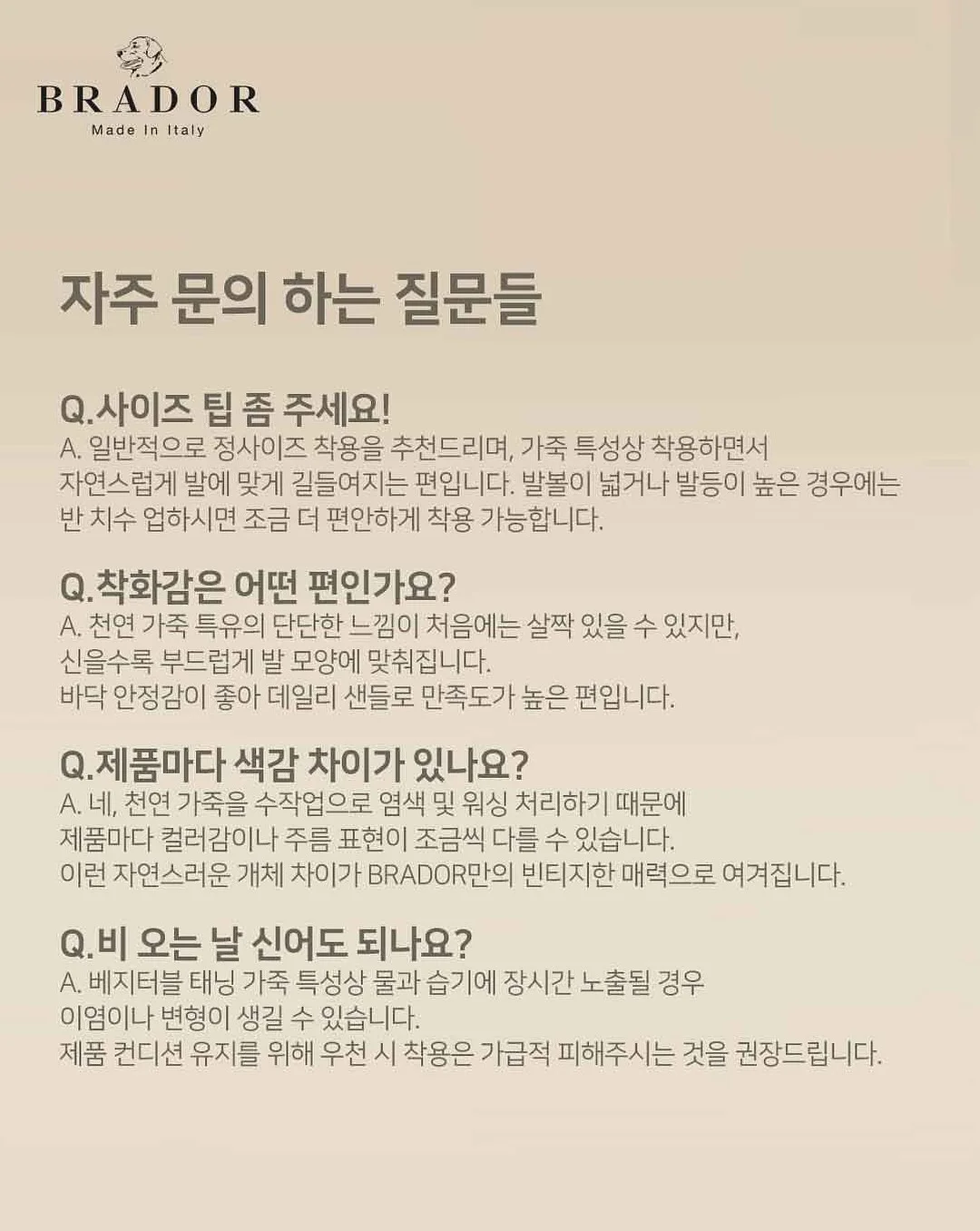양파 보관법 9