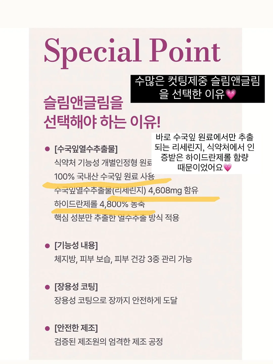 할로윈 숲 투어 6