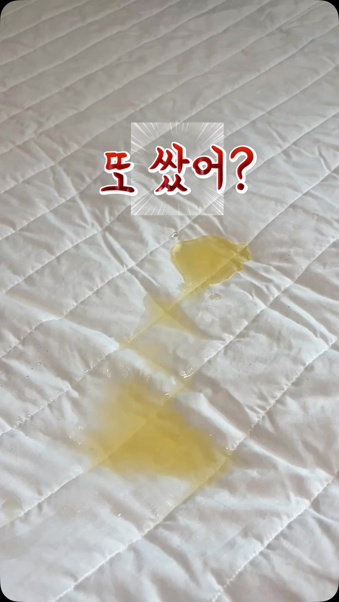 RABOGEL 밀키오로라 시럽젤 SET 6컬러