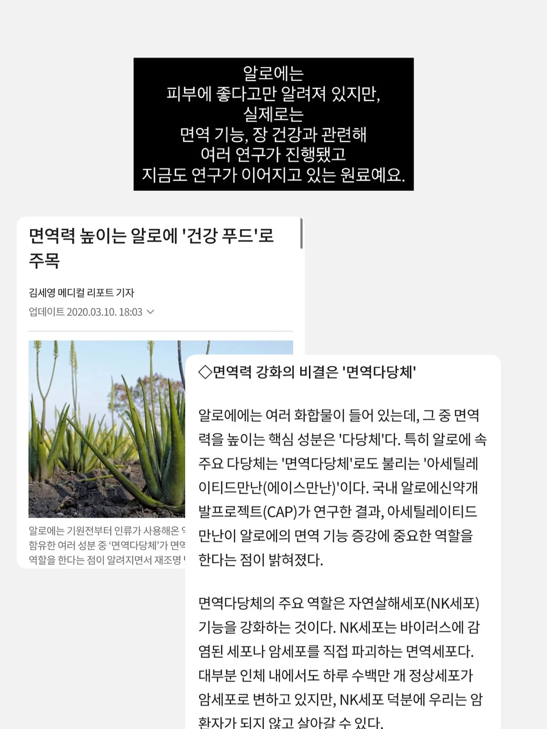좌로우로스판스커트 11