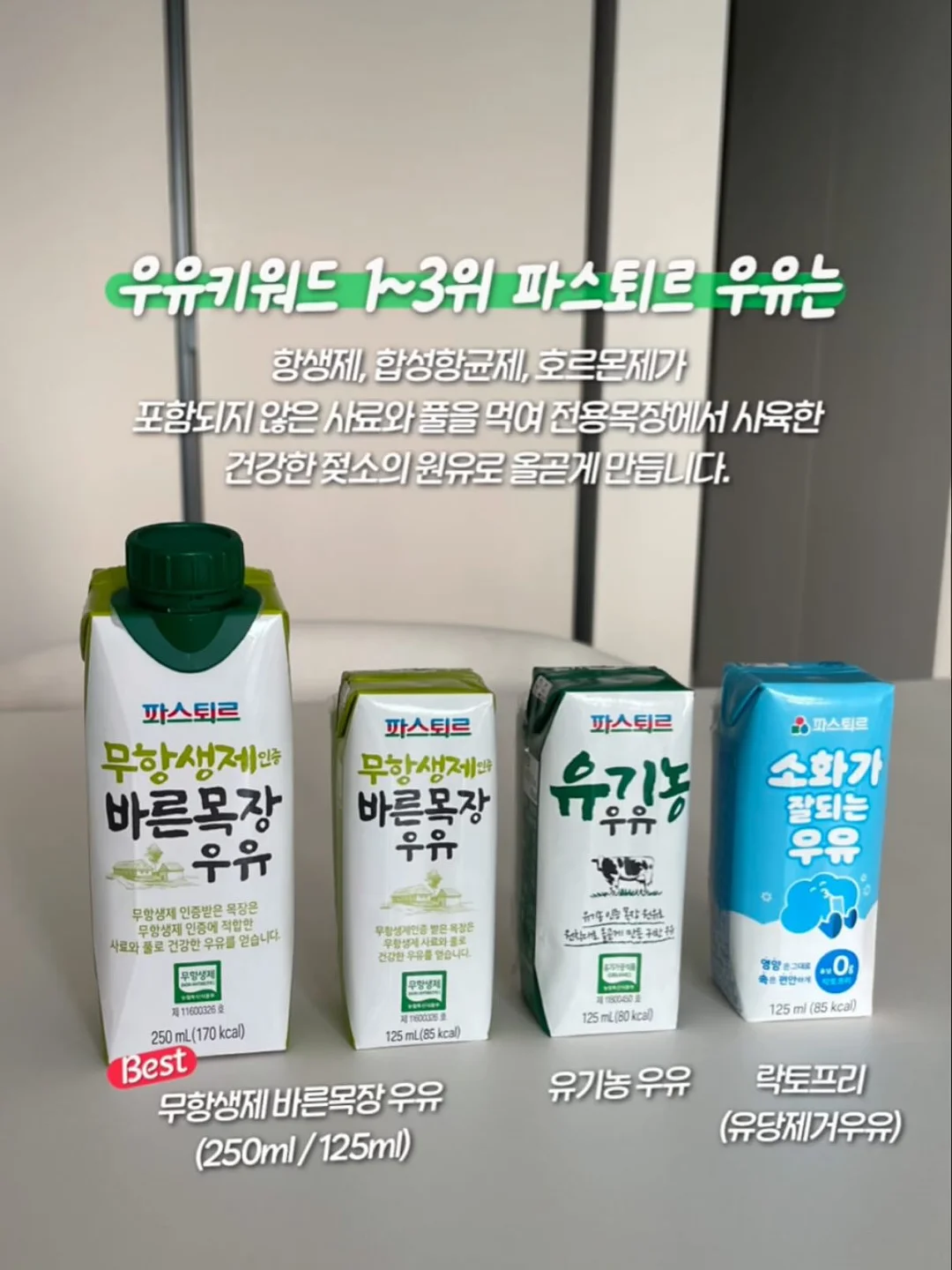 샤오커오라 오로라 파우치 2