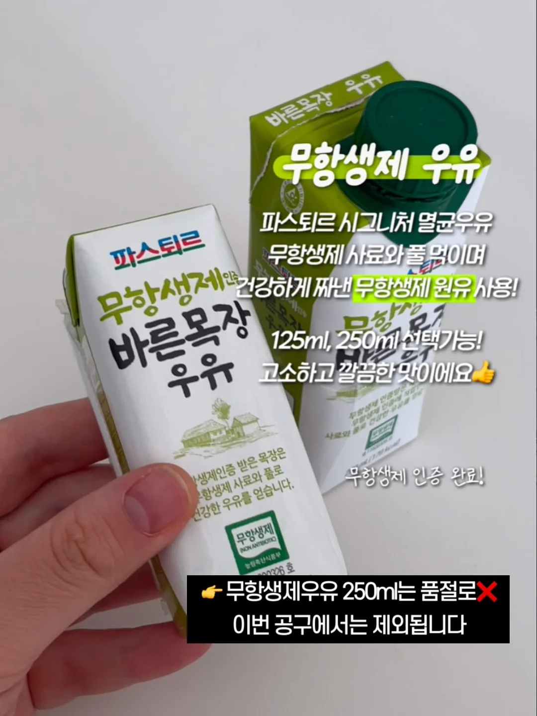 샤오커오라 오로라 파우치 4