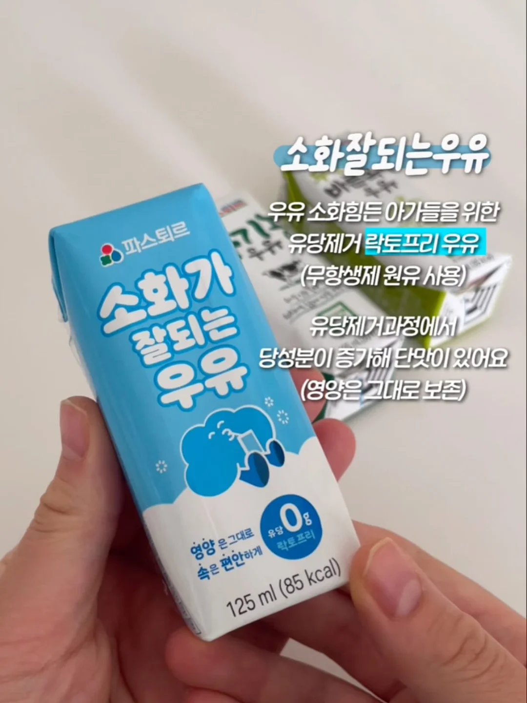 샤오커오라 오로라 파우치 6