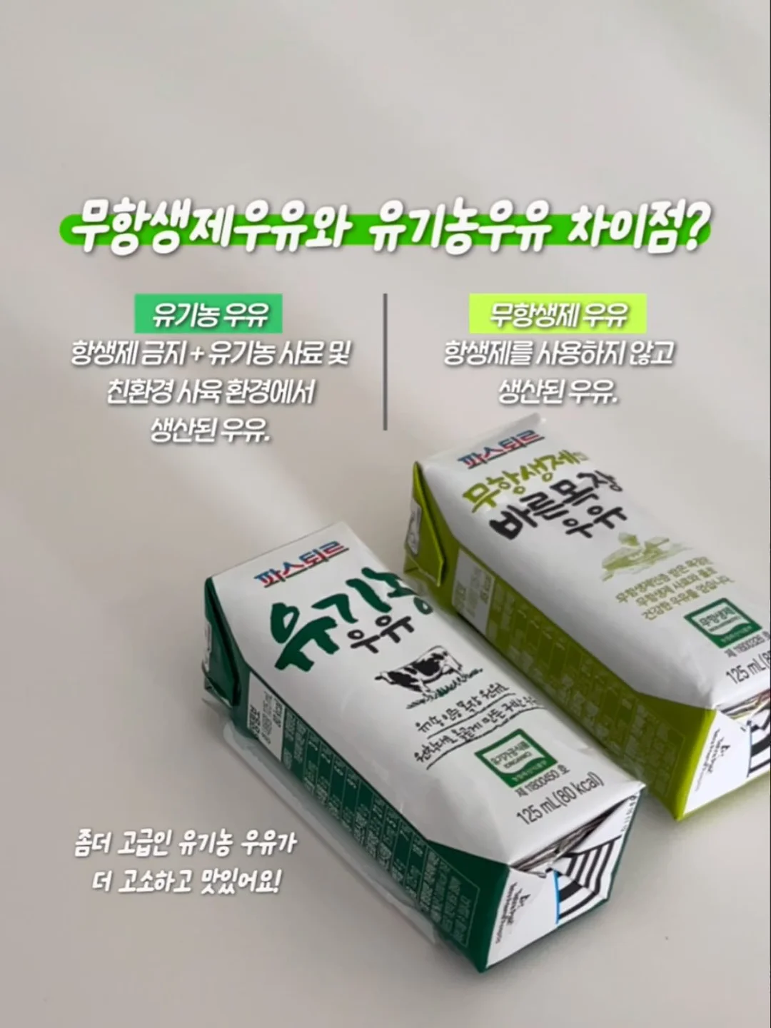 샤오커오라 오로라 파우치 8