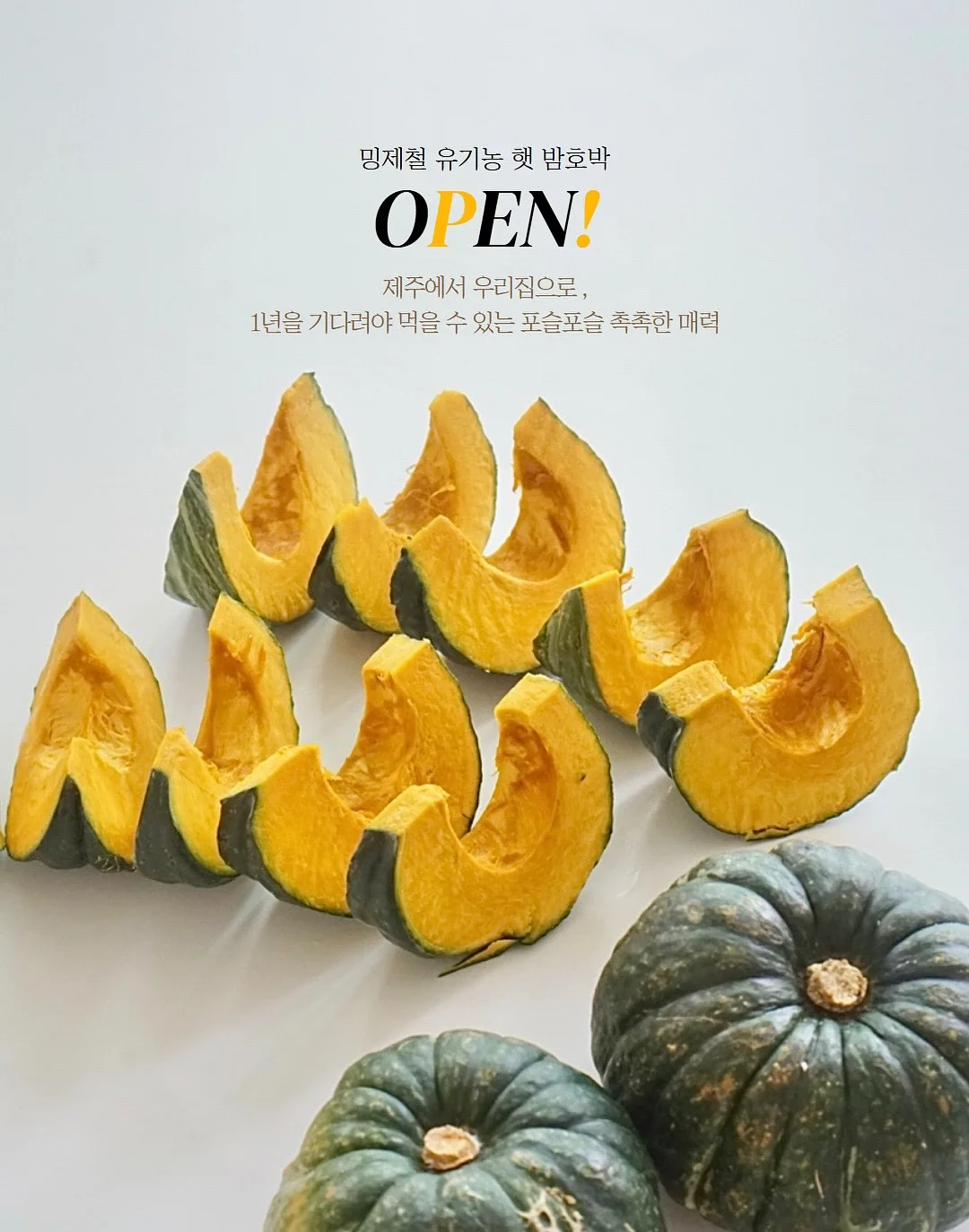 붉은말띠 백일답례떡 1