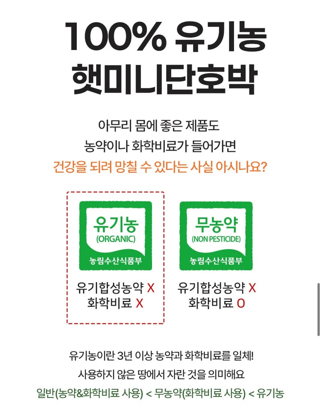 붉은말띠 백일답례떡 4