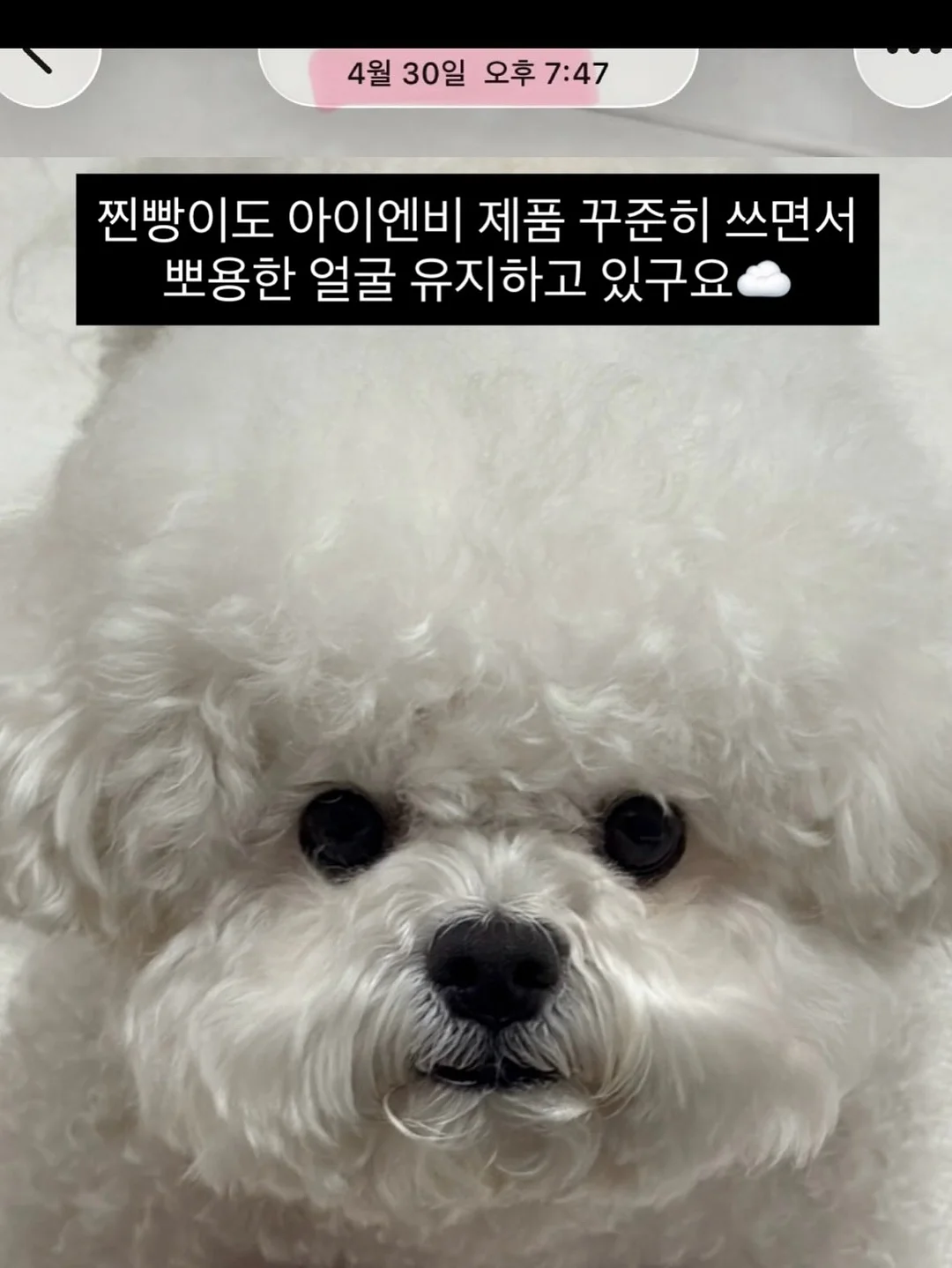 소싱 미니맥스 보조배터리 11