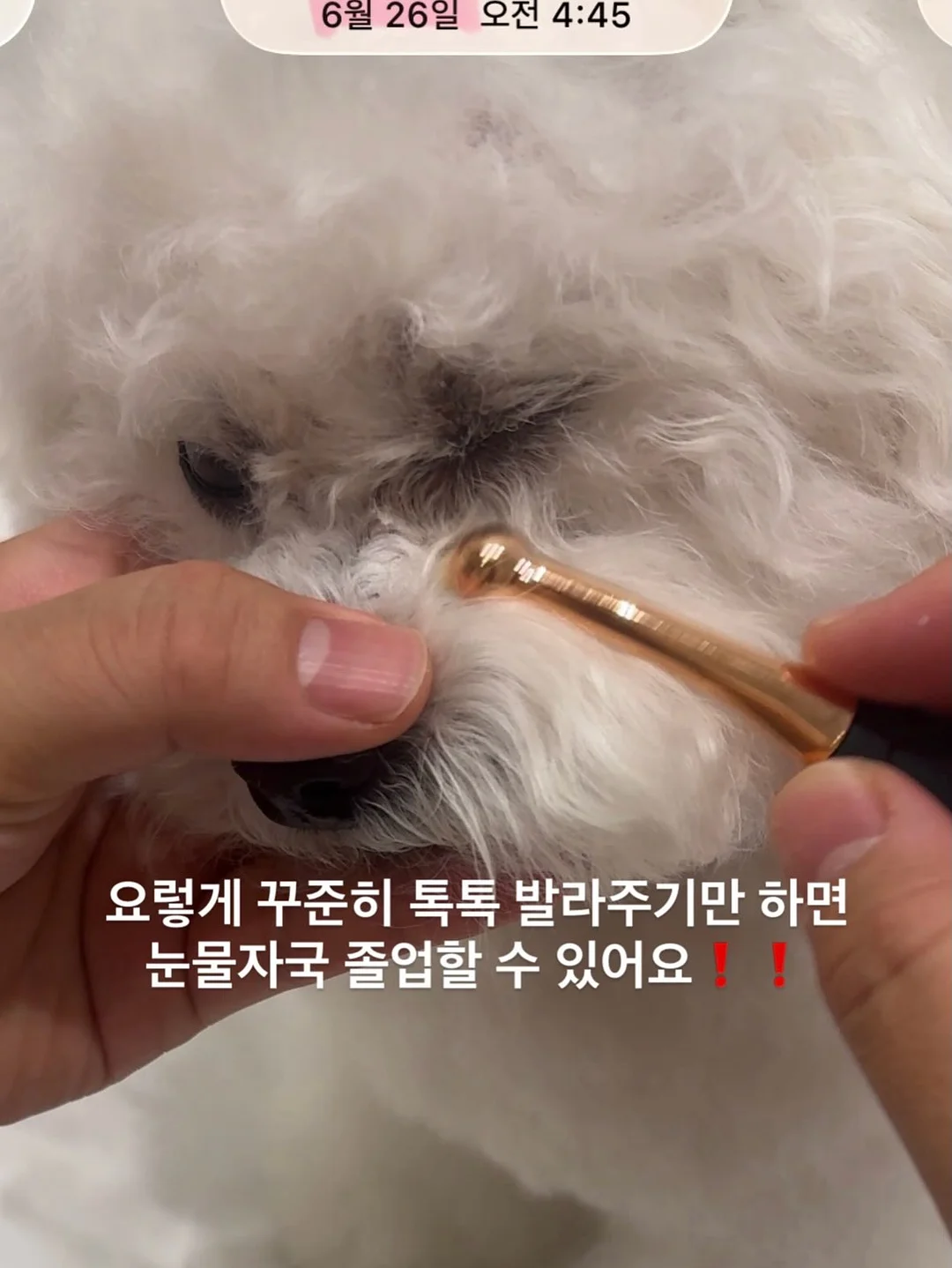 소싱 미니맥스 보조배터리 12
