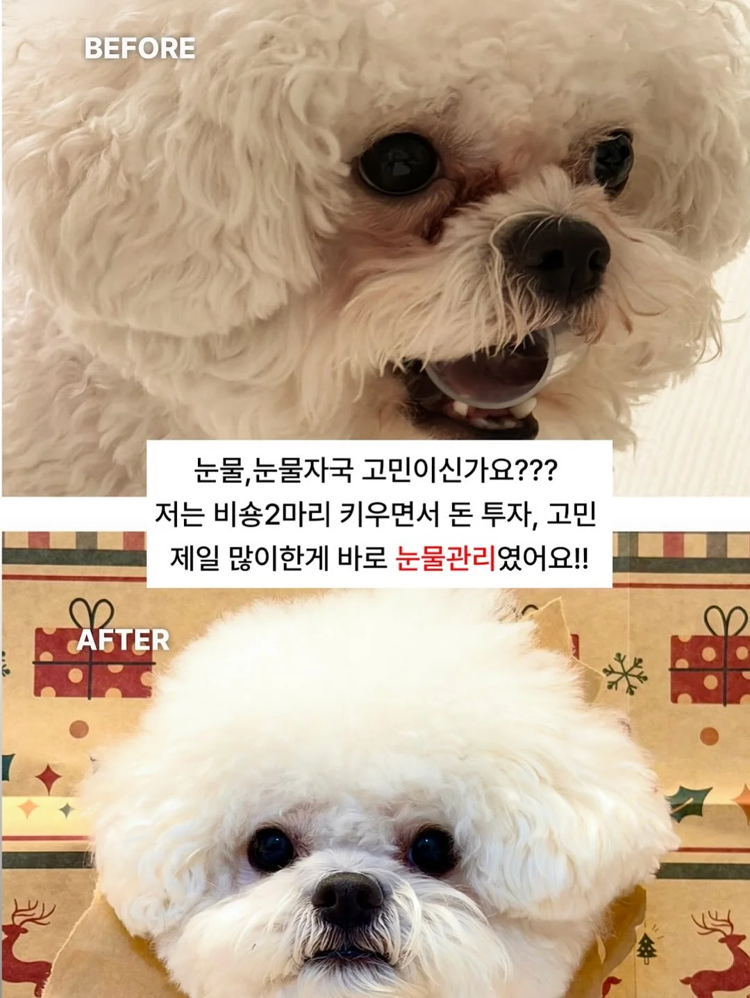 소싱 미니맥스 보조배터리 2