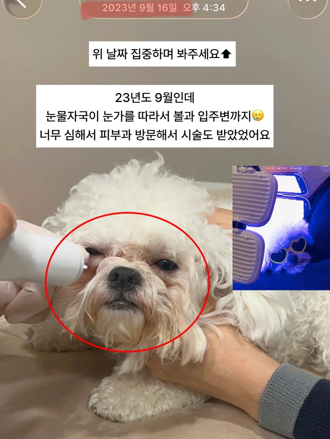 소싱 미니맥스 보조배터리 5