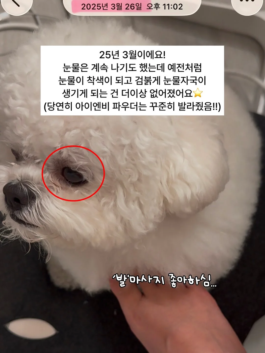 소싱 미니맥스 보조배터리 8