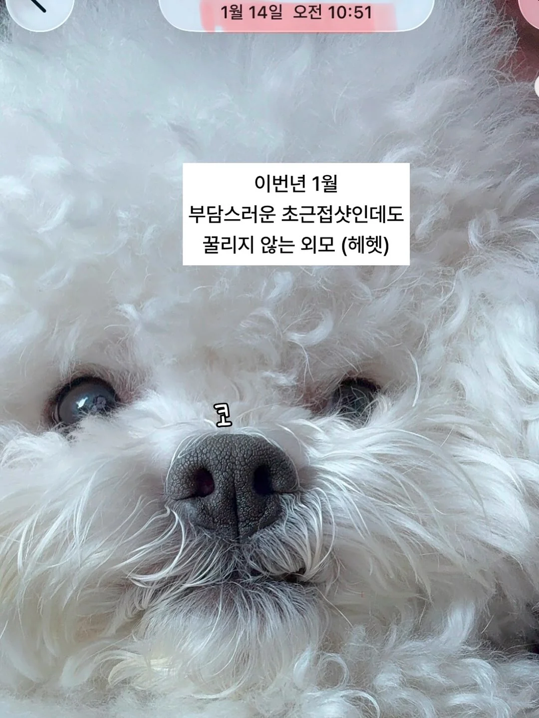 소싱 미니맥스 보조배터리 9