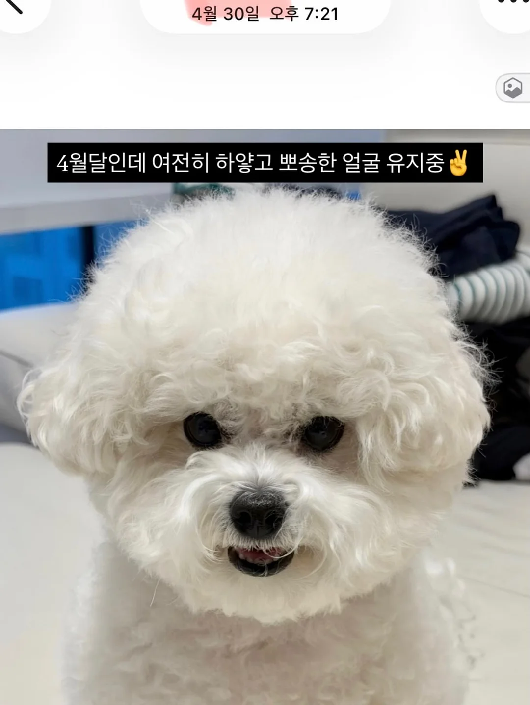 소싱 미니맥스 보조배터리 10