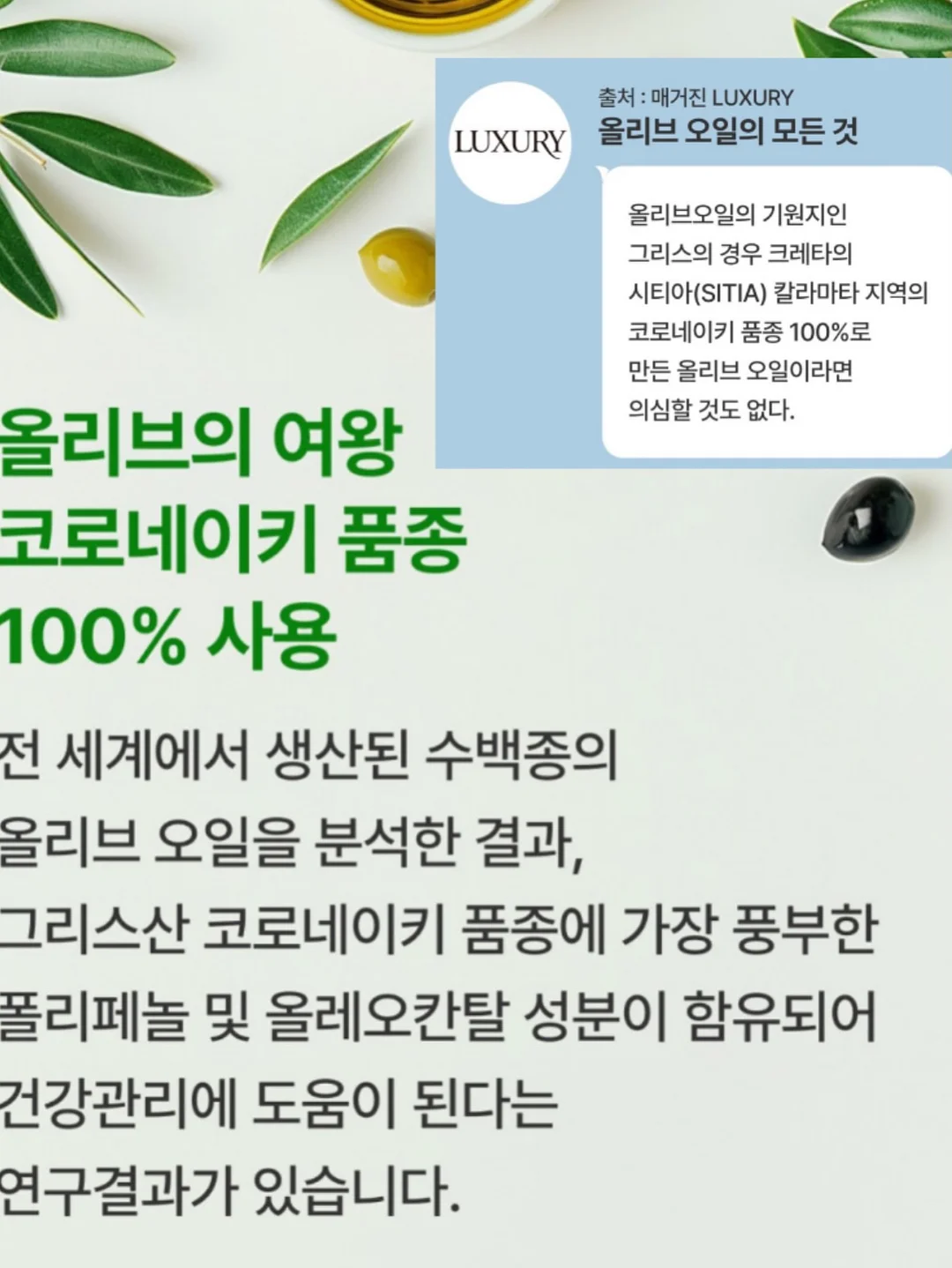 베이스기타 레슨 13