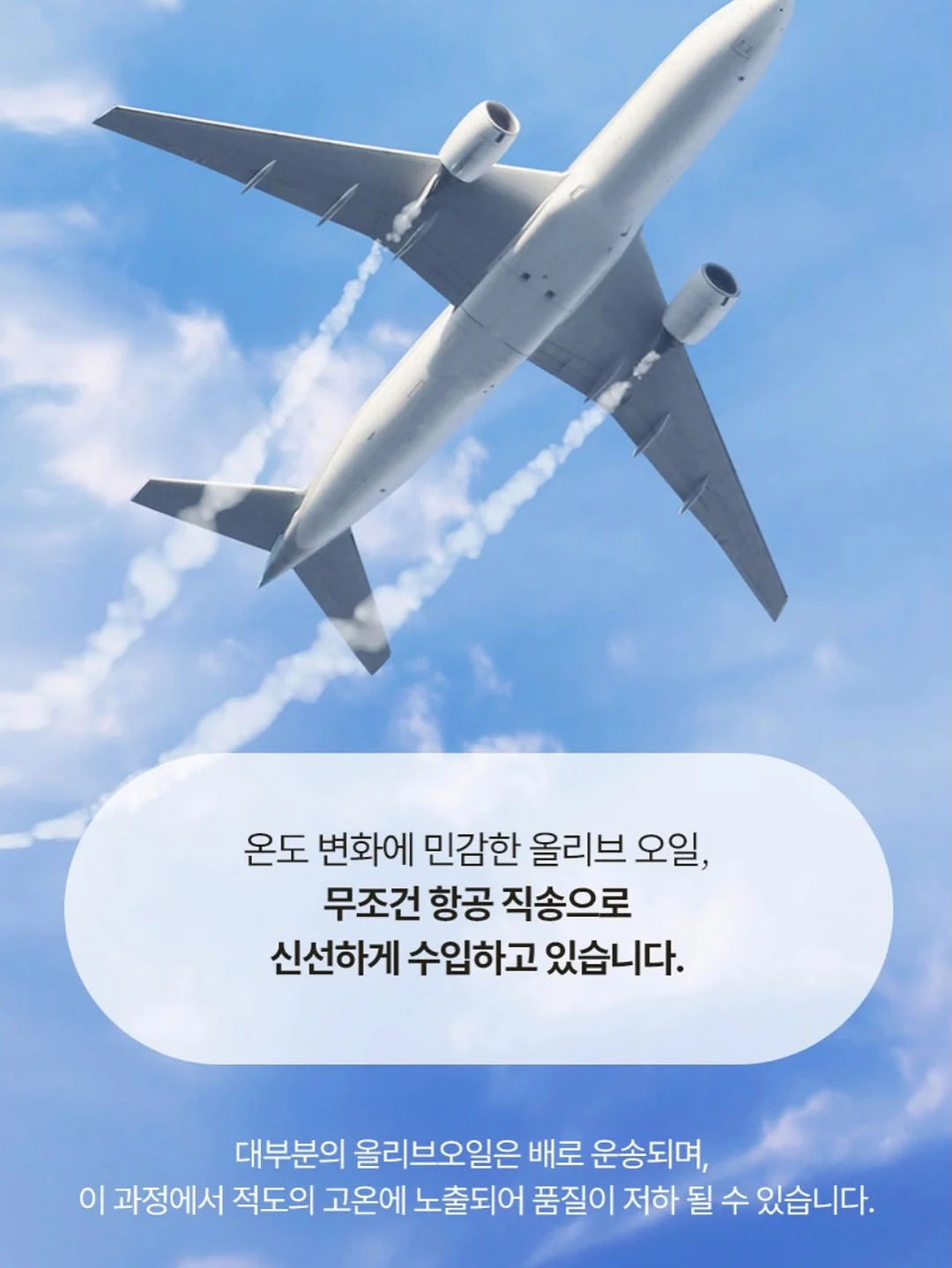 베이스기타 레슨 14