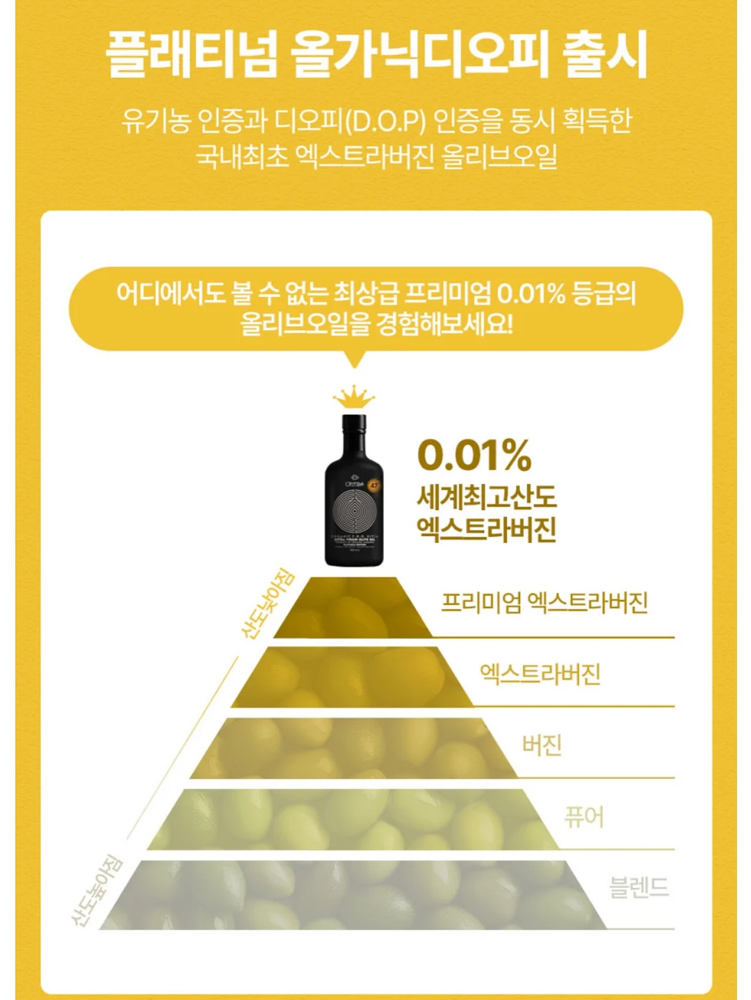 베이스기타 레슨 8