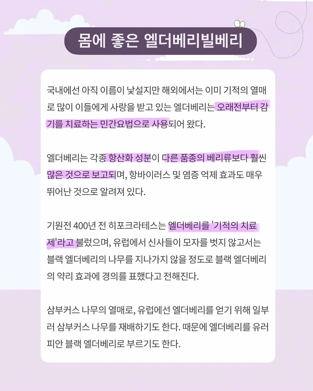 몬치치 프롬프트 5