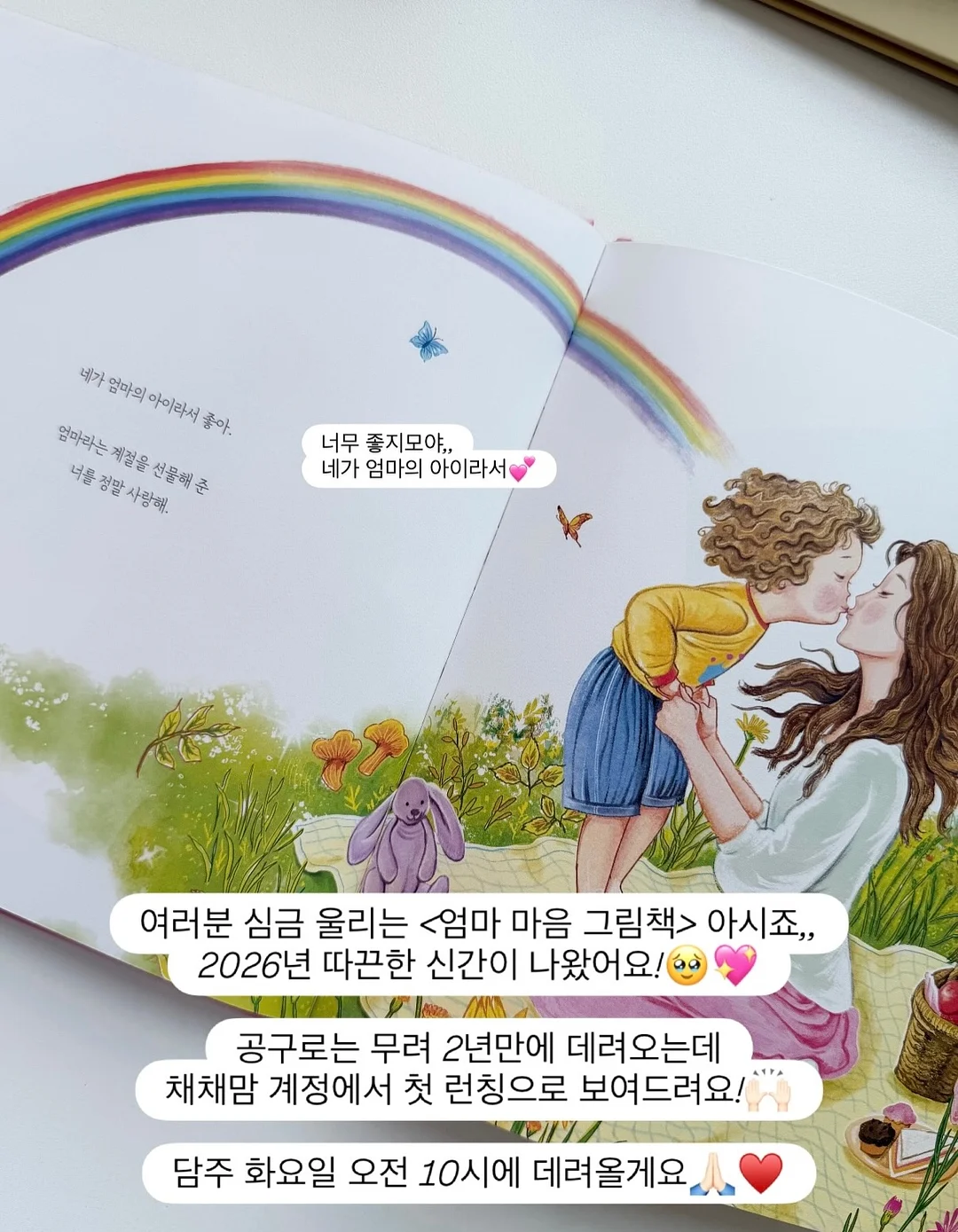 에어프라이어 실리콘 용기 11
