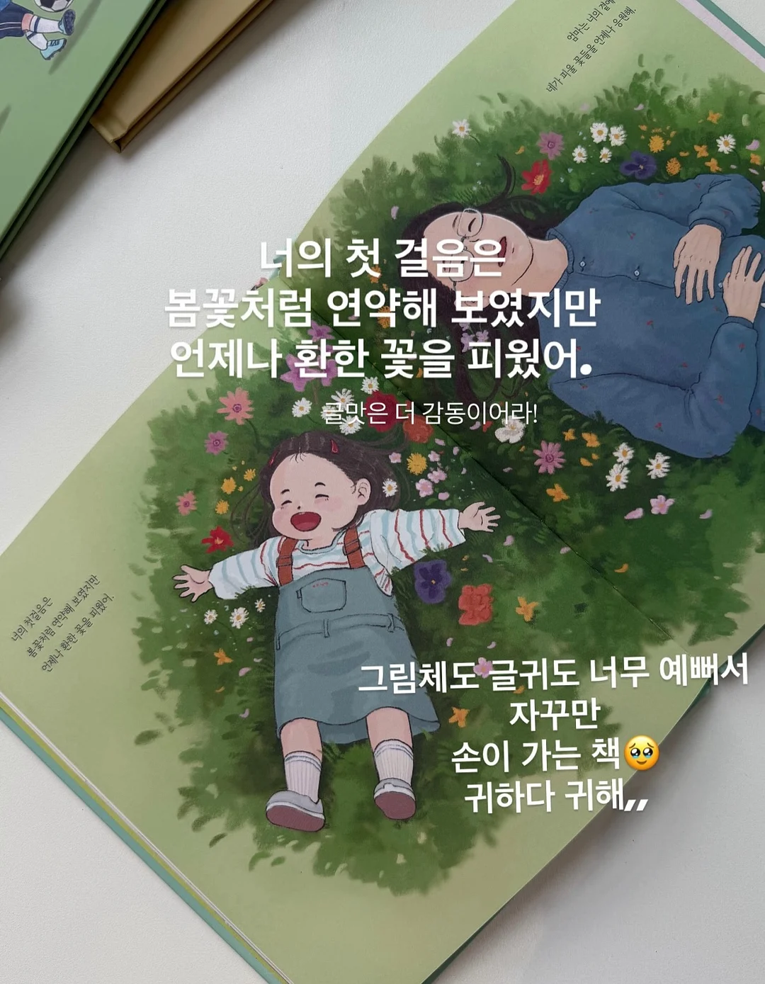 에어프라이어 실리콘 용기 13