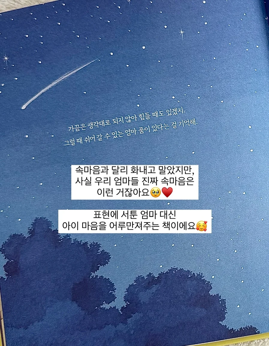 에어프라이어 실리콘 용기 14