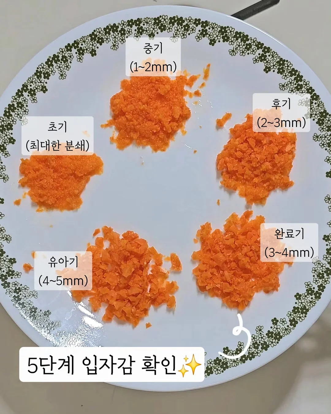 도멘 자크 프리외르 와인 11
