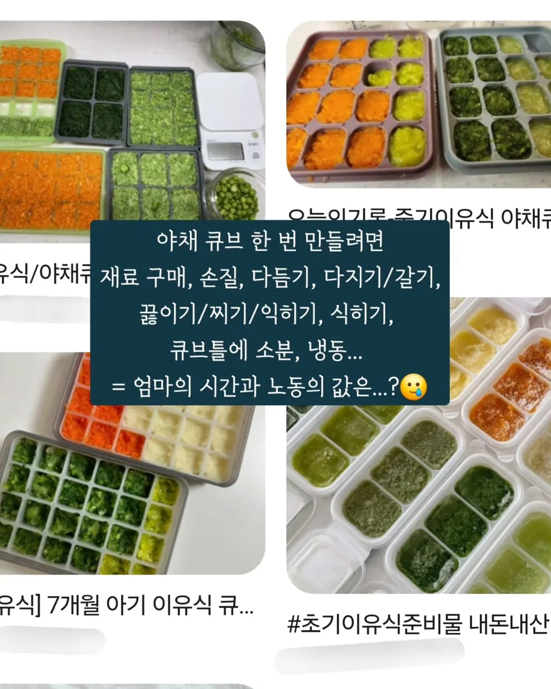 도멘 자크 프리외르 와인 10
