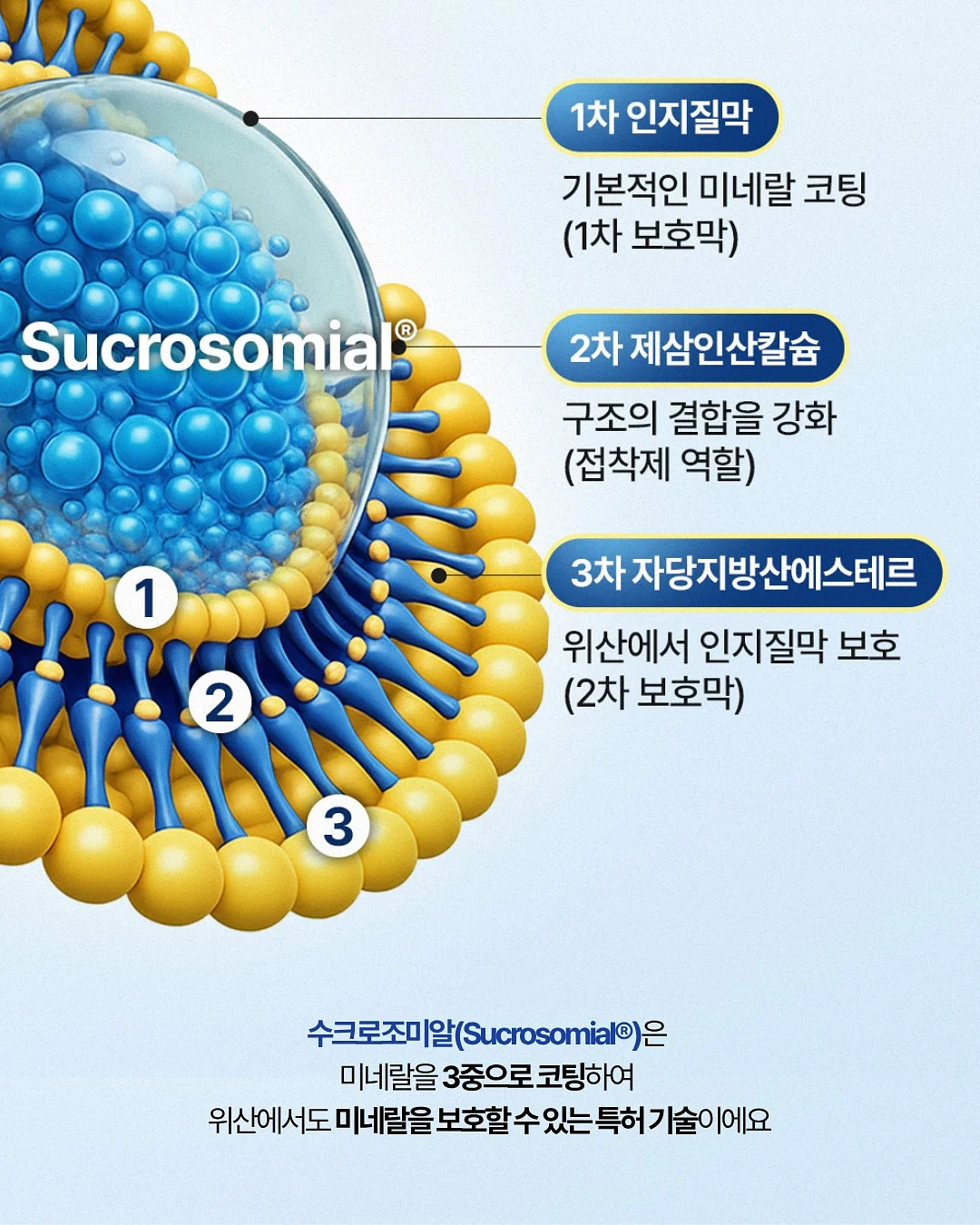 레아레브 드레스 4