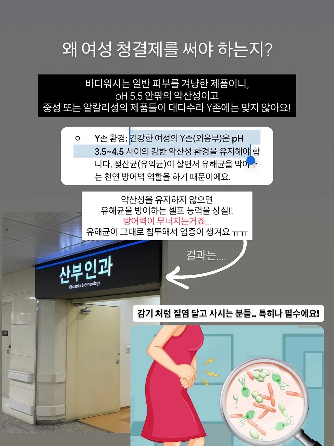 느티나무의 사랑 라벤더 카페 7