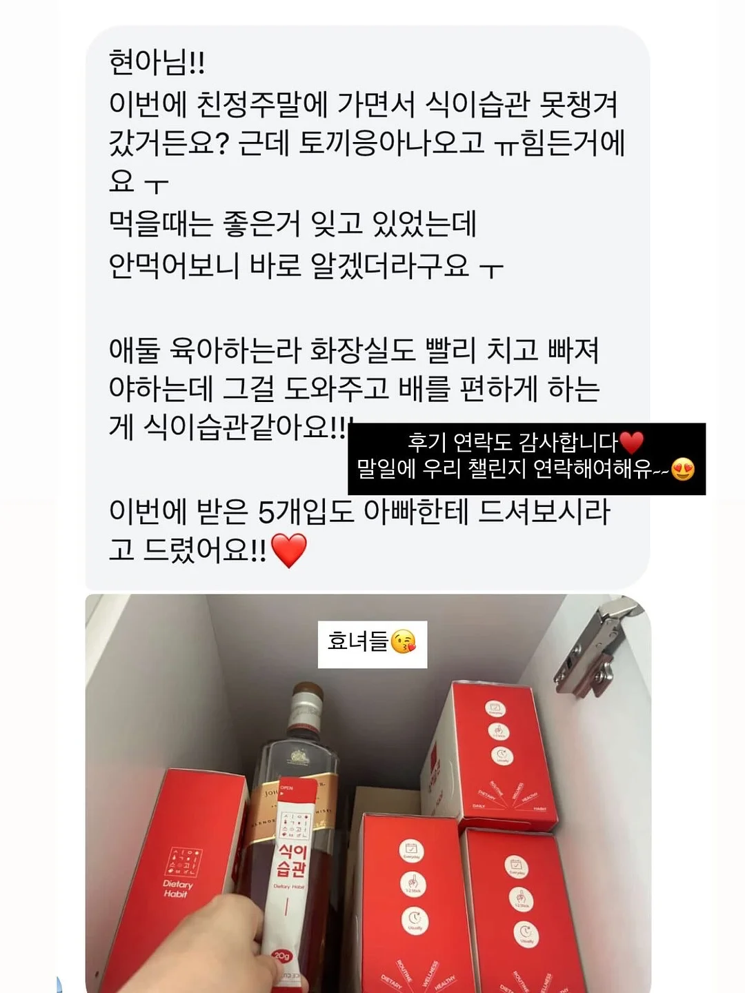 나비 날개 만들기 키트 14