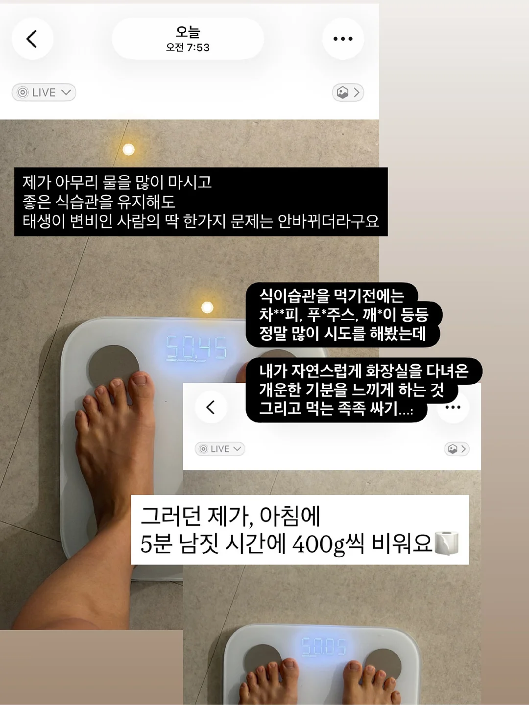 나비 날개 만들기 키트 3