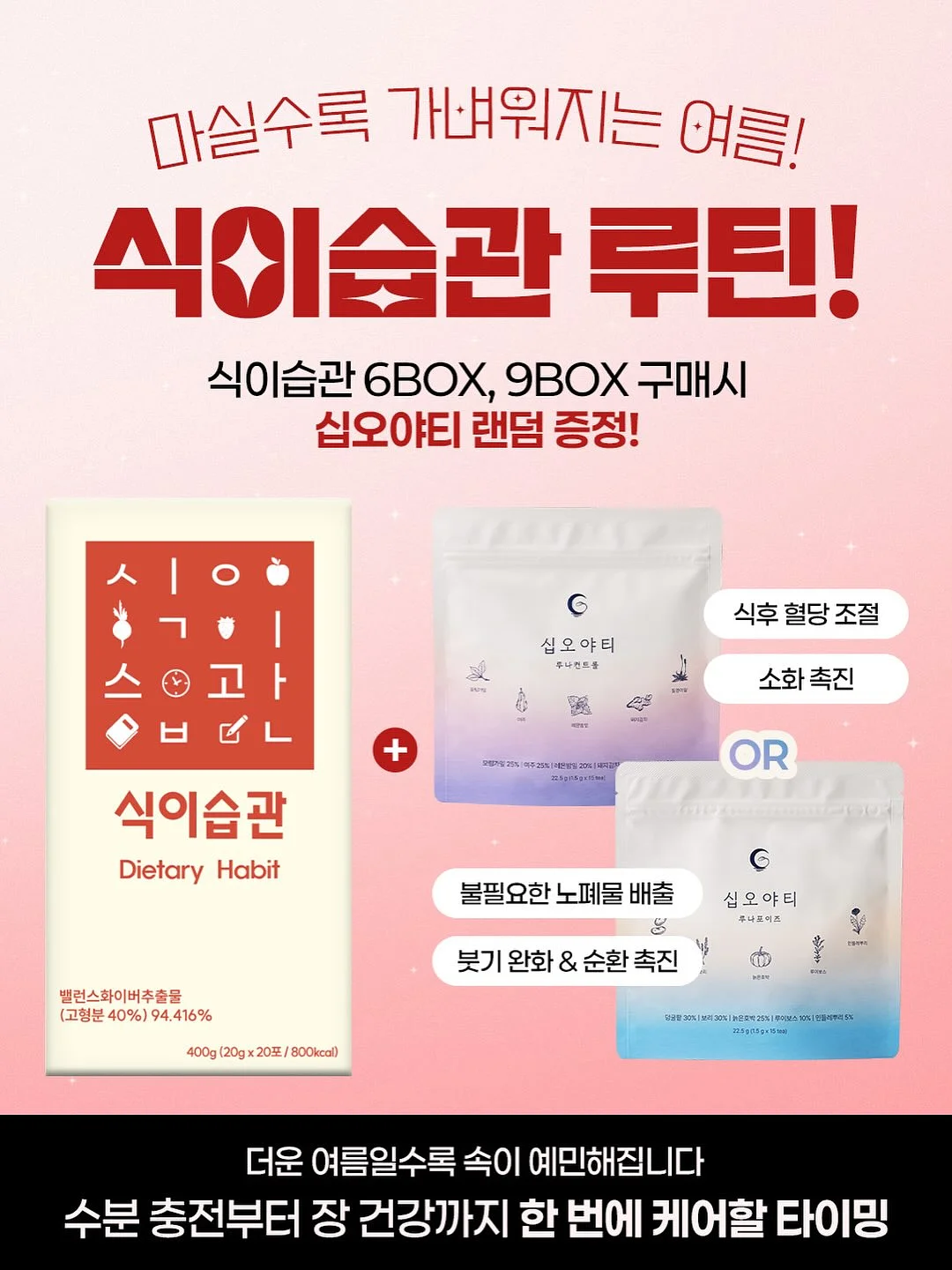 나비 날개 만들기 키트 8