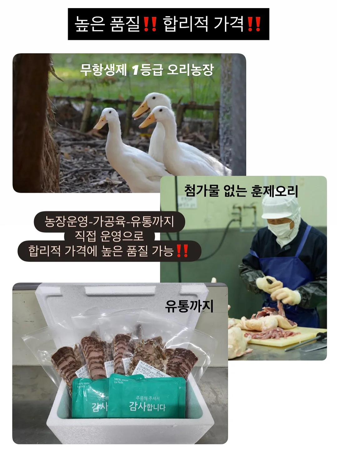 화류비련극 <홍도> 6